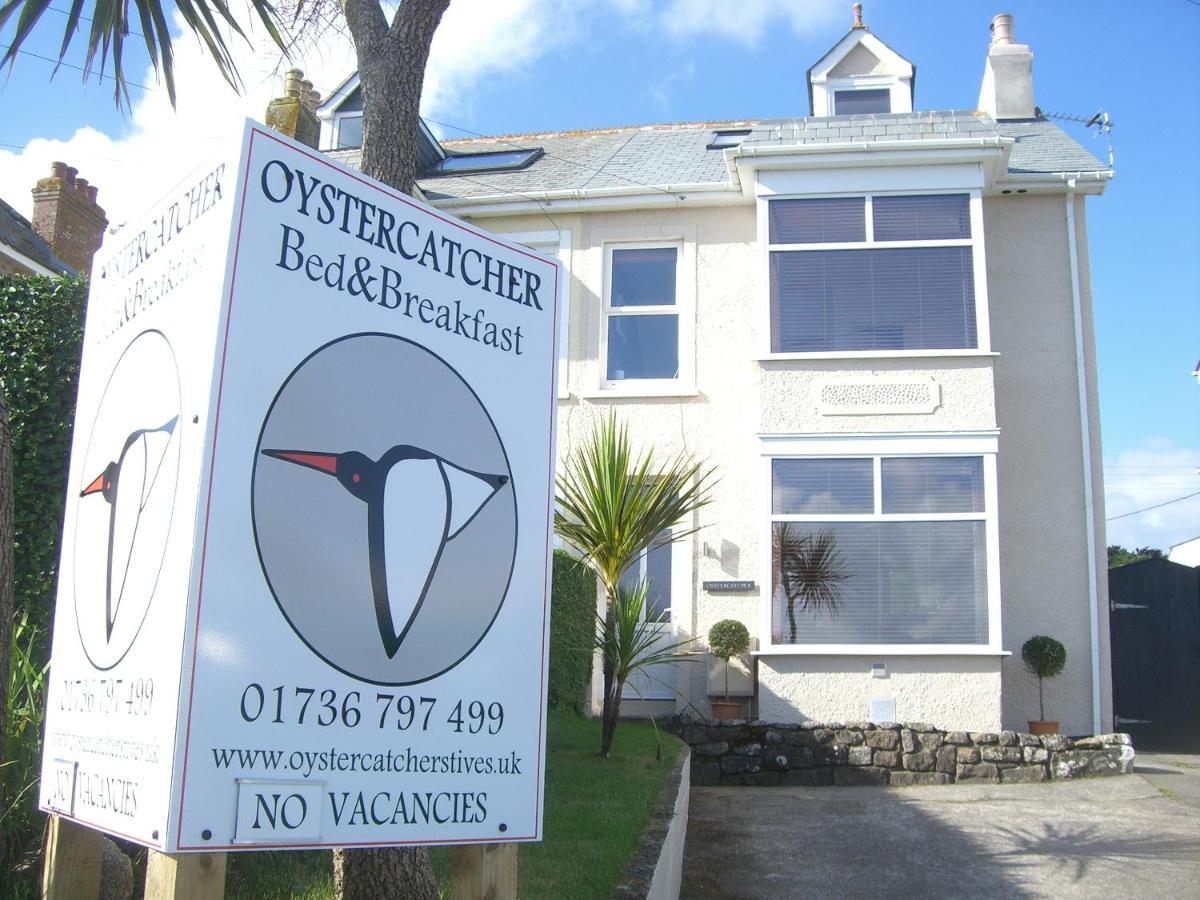 Oystercatcher St Ives Buitenkant foto