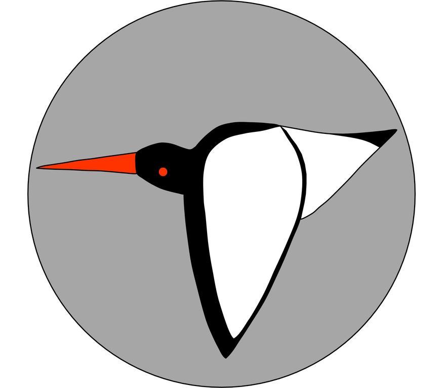 Oystercatcher St Ives Buitenkant foto